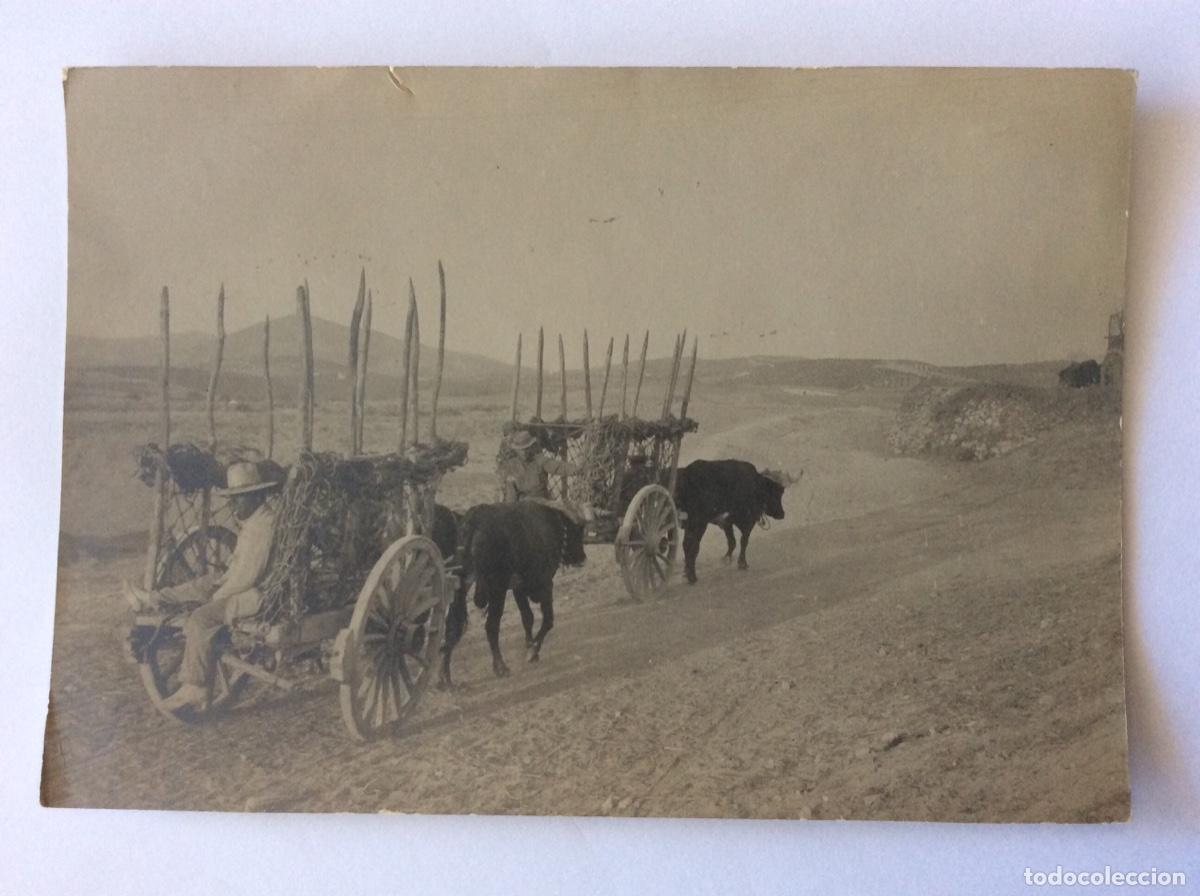 Fotografia antica: FOTO FOTOGRAF&Iacute;A COSTUMBRISTA A&Ntilde;O 1946 CARROS BUEYES CAMINO DE EL EJIDO ALMER&Iacute;A