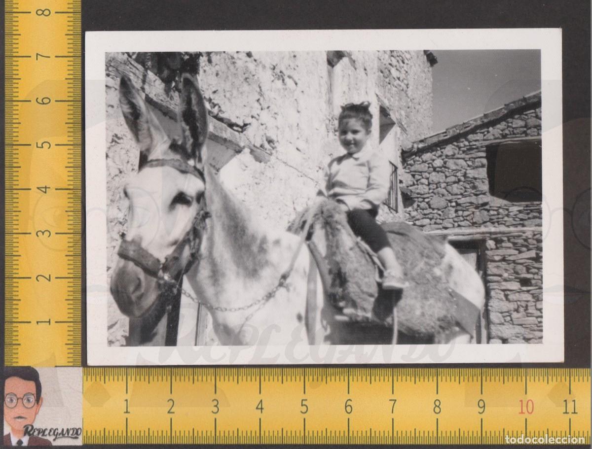 Fotografia antica: SIMP&Aacute;TICA NI&Ntilde;A MONTANDO BURRO -ASNO MULA CABALLO - FOTO ANTIGUA A&Ntilde;OS 50/60 - INFANCIA FELIZ ESPA&Ntilde;A