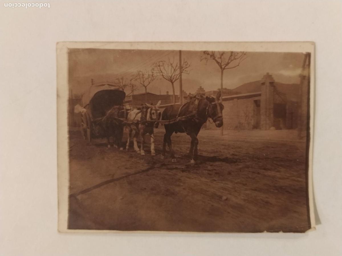 Fotograf&iacute;a antigua: UN CARRUAJE - FOTOGRAFIA ANTIGUA -(113.291)