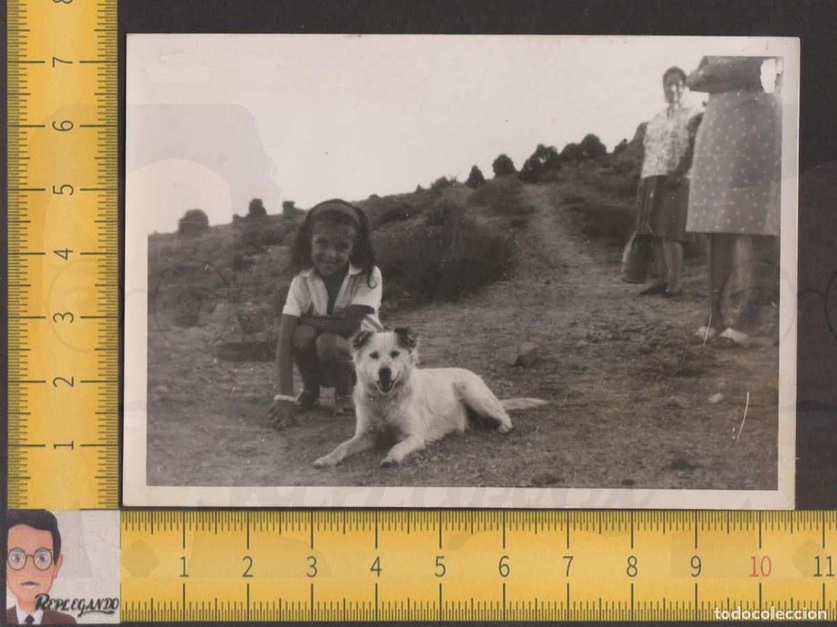 Alte Fotografie: SIMP&Aacute;TICA NI&Ntilde;A POSA CON PERRO MASCOTA EN CAMINO CAMPO - FOTO ANTIGUA A&Ntilde;OS 50/60 - INFANCIA FELIZ