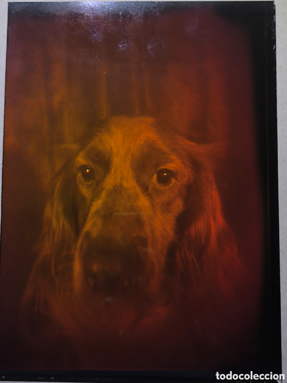Alte Fotografie: Holograma en cristal de un perro. Original de los a&ntilde;os 70/80