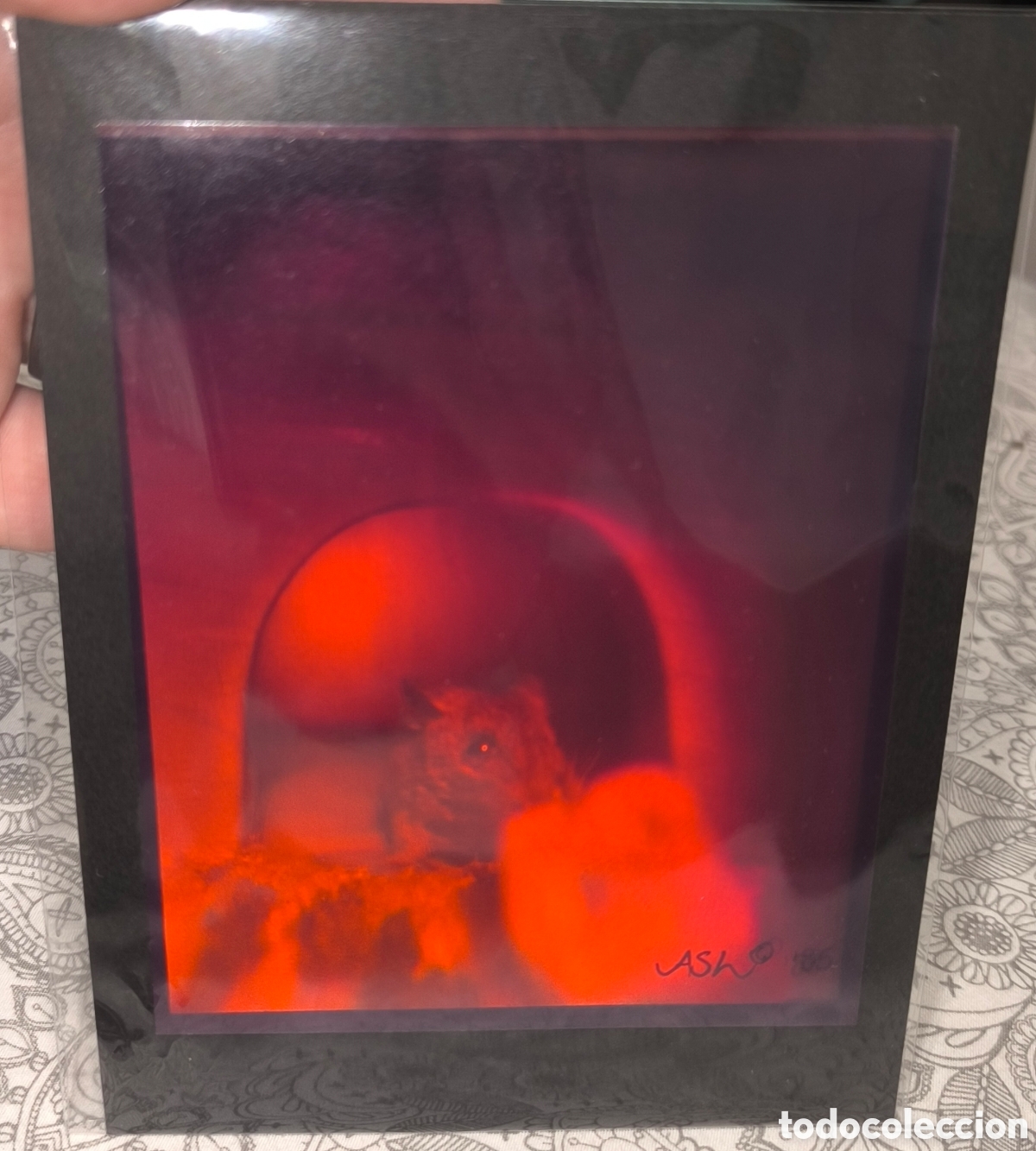 Alte Fotografie: Holograma de un rat&oacute;n .