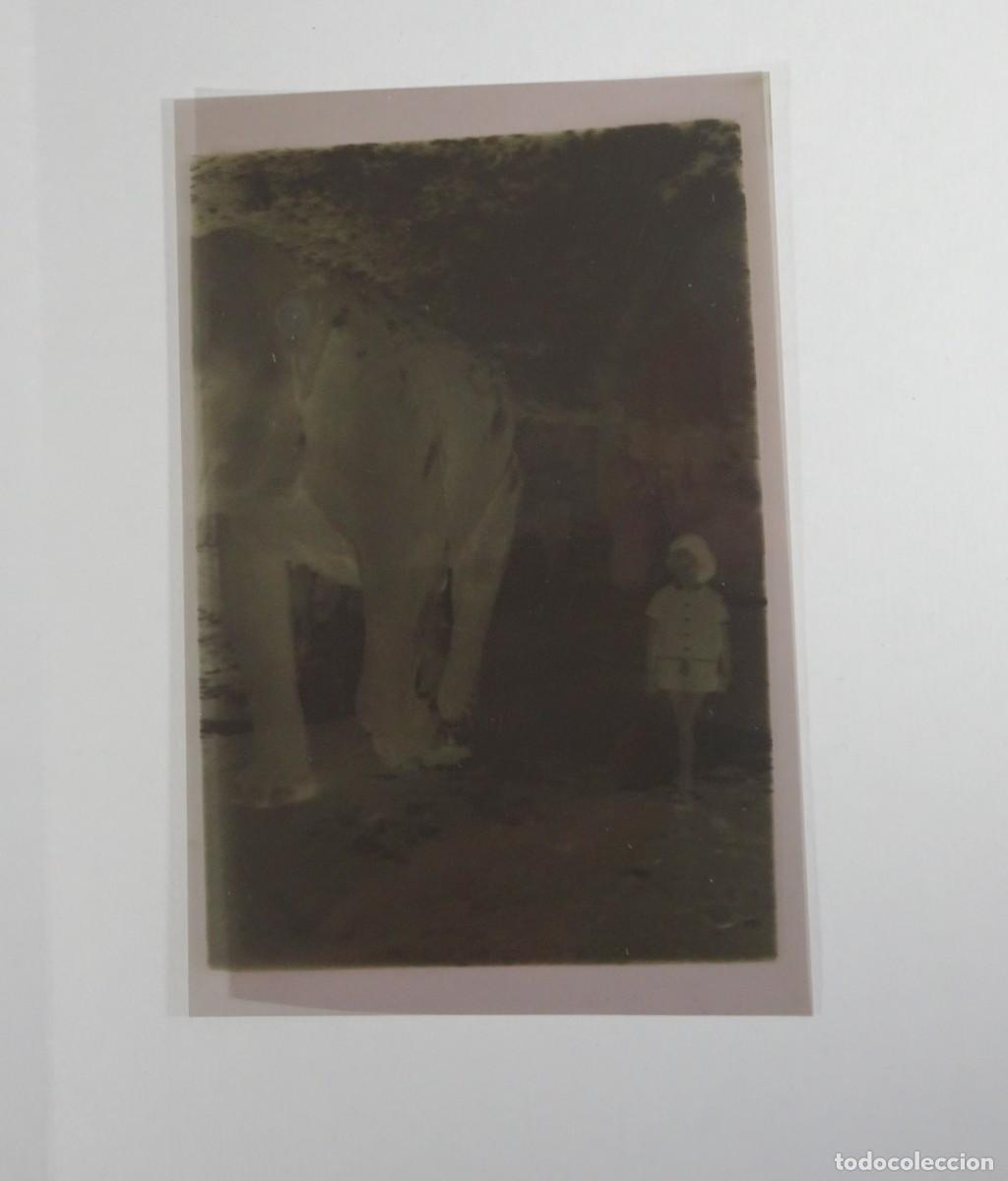 Photographie ancienne: ANTIGUO NEGATIVO FOTOGRAF&Iacute;A , NI&Ntilde;A, ELEFANTE, VER FOTOS