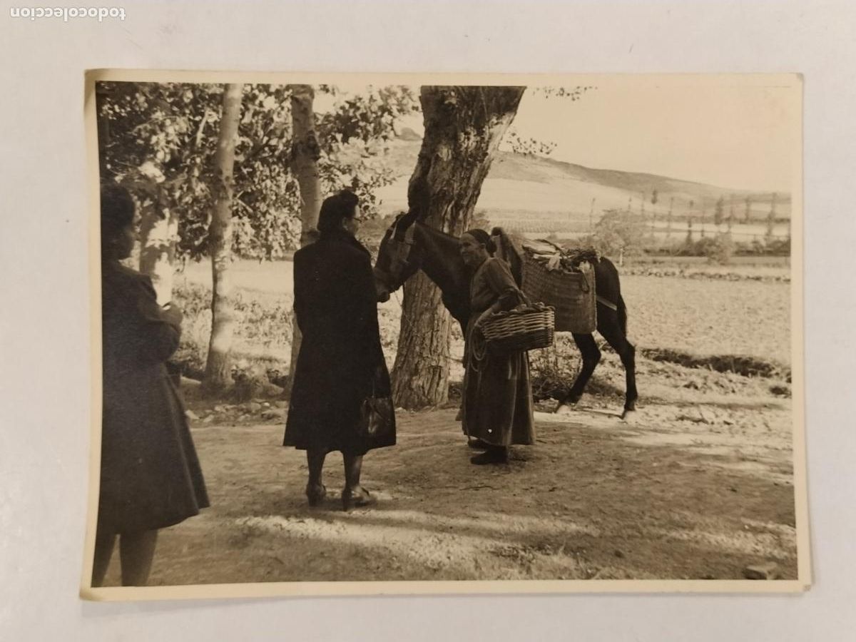 Fotograf&iacute;a antigua: VERUELA - BURRO - FOTOGRAFIA ANTIGUA -(36)