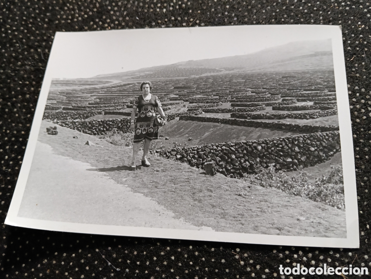 Fotograf&iacute;a antigua: Fotograf&iacute;a de los campos de uvas de Lanzarote Canarias a&ntilde;os 50