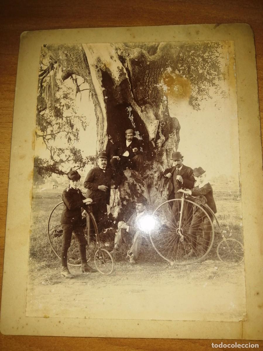 Antique Photography: VELOC&Iacute;PEDOS. FAMIL&Iacute;A MARISTANY