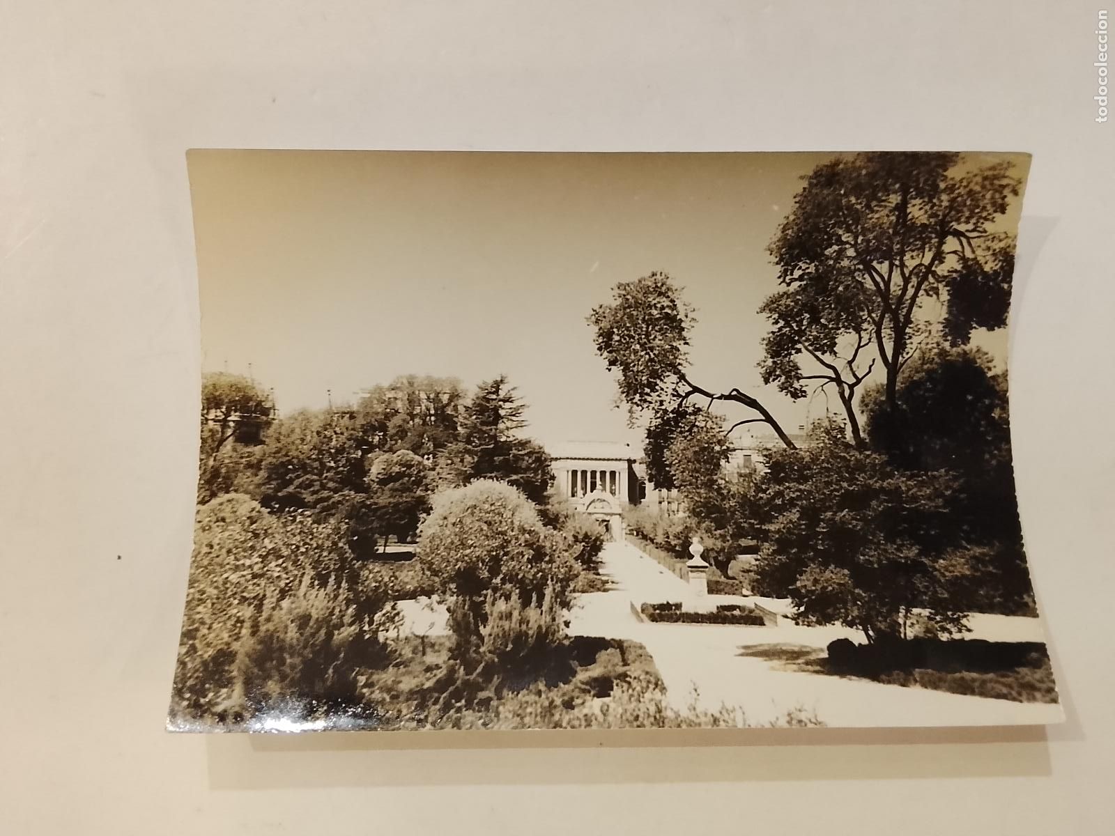 Fotograf&iacute;a antigua: PAMPLONA - FOTOGRAFIA ANTIGUA -(K-15.262)