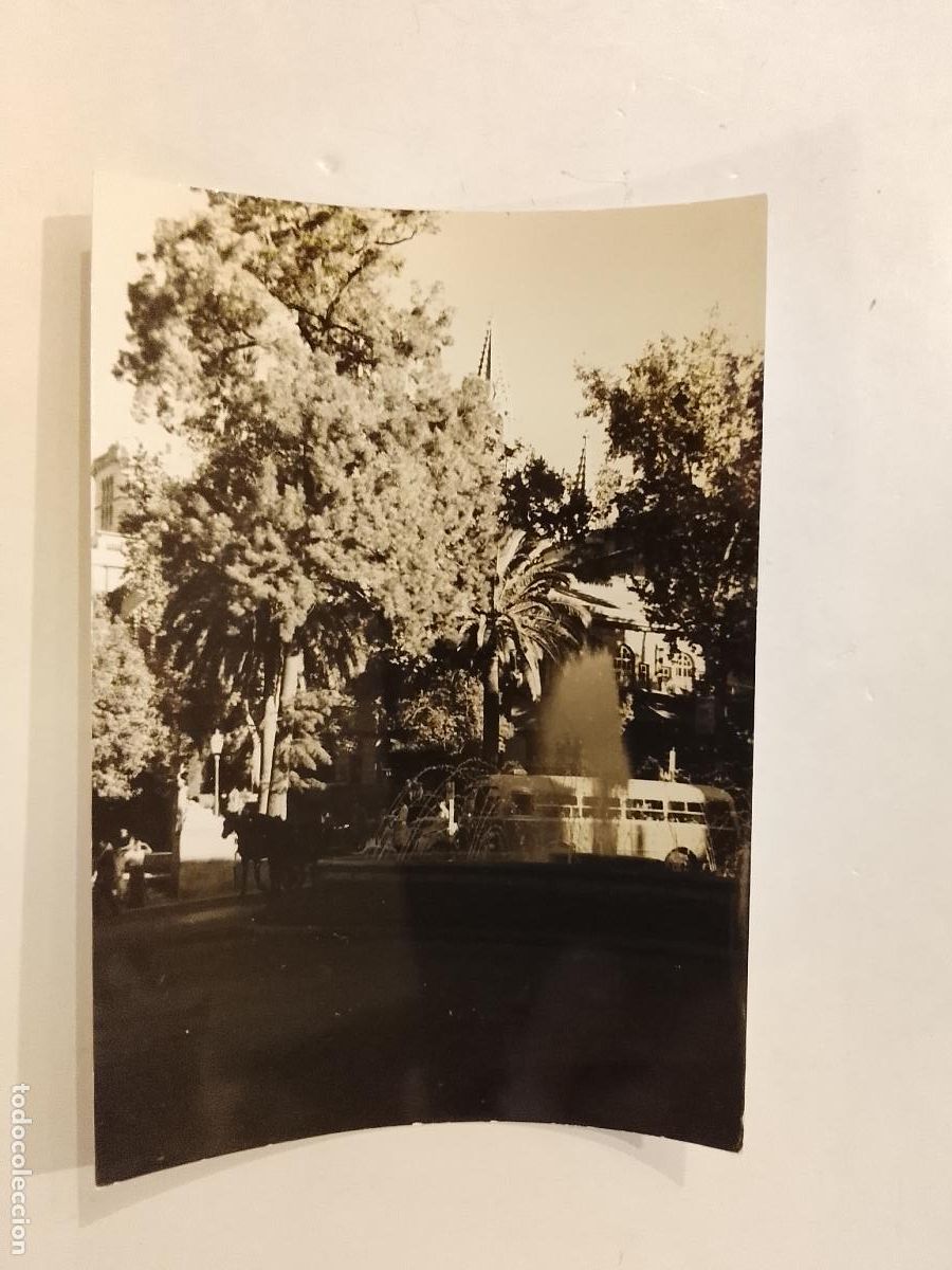 Fotograf&iacute;a antigua: MALLORCA - AUTOBUS - FOTOGRAFIA ANTIGUA -(K-15.265)