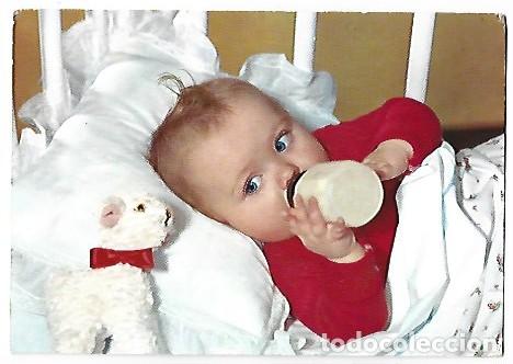 Fotograf&iacute;a antigua: BEBE EN LA CUNA CON PERRITO - Foto 1