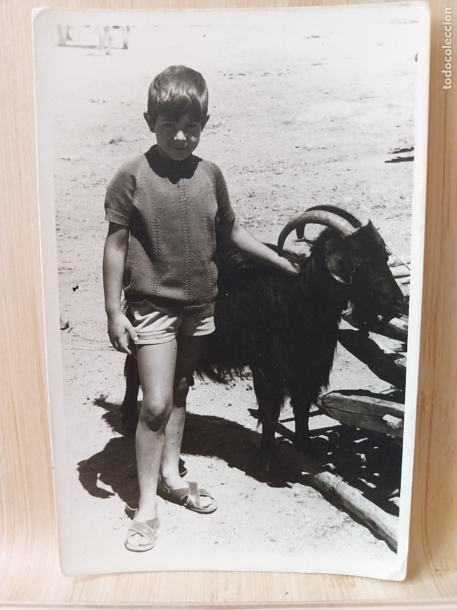 Fotograf&iacute;a antigua: MACHO CABRIO NI&Ntilde;O A&Ntilde;OS 60 FOTO PARTICULAR 14X9CMS