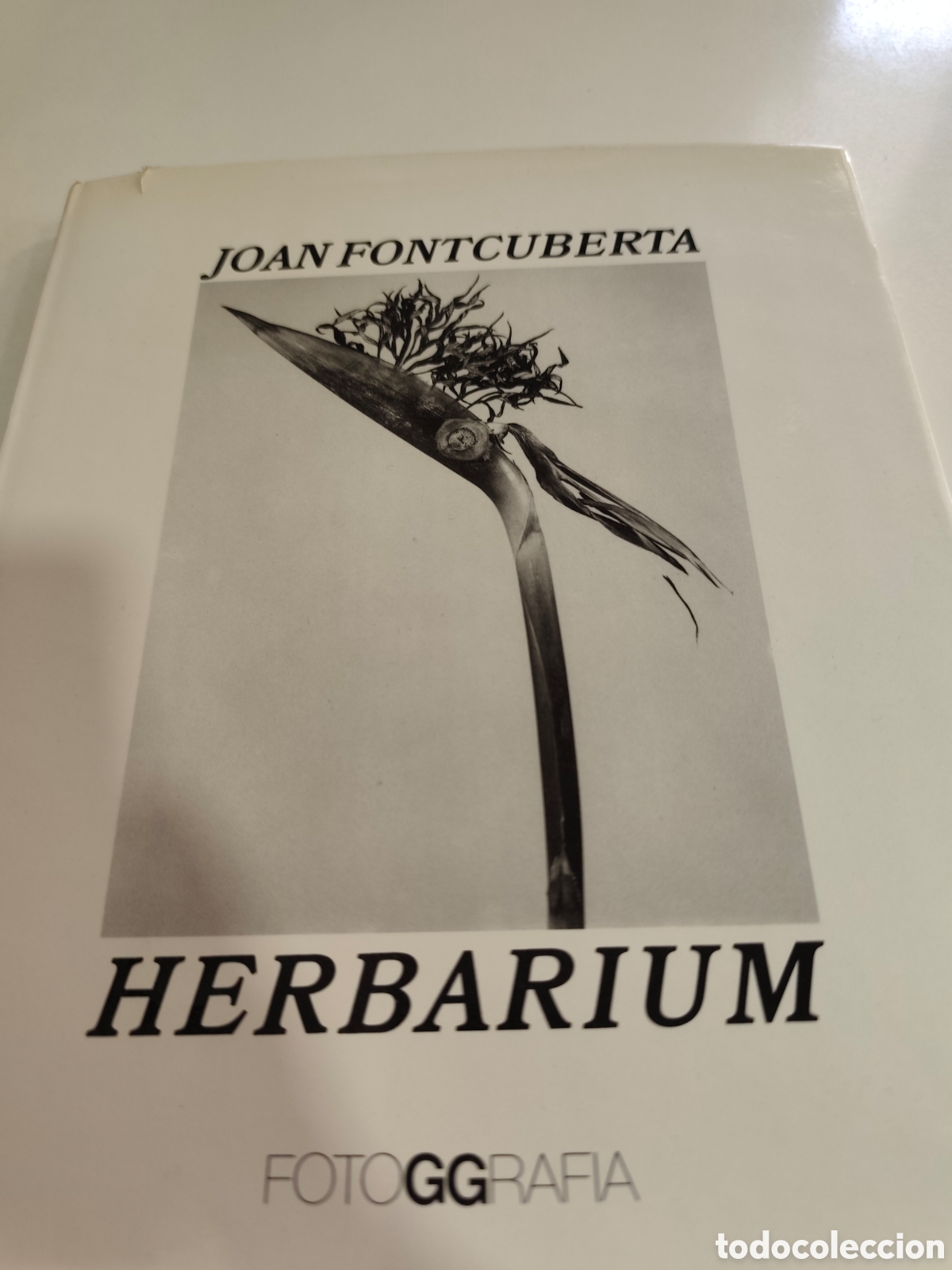 Fotograf&iacute;a antigua: Herbarium. Joan Foncuberta. 1a. edici&oacute;n. 1984