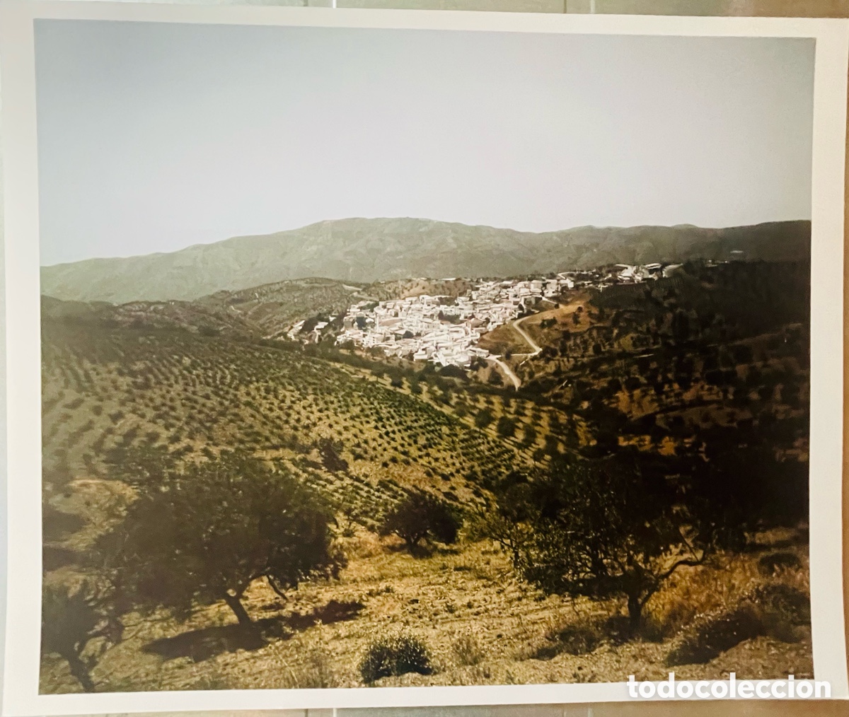 Fotograf&iacute;a antigua: Caio Reisewitz. Fotografia. 25 x 30,5 cm