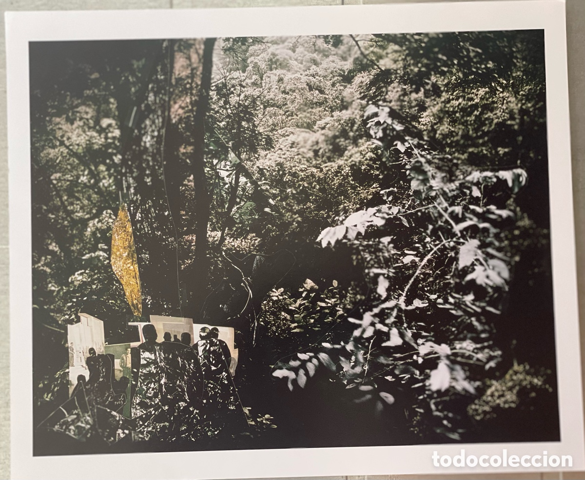 Fotograf&iacute;a antigua: Caio Reisewitz. Fotografia color 25,5 x 30,5 cm 2008