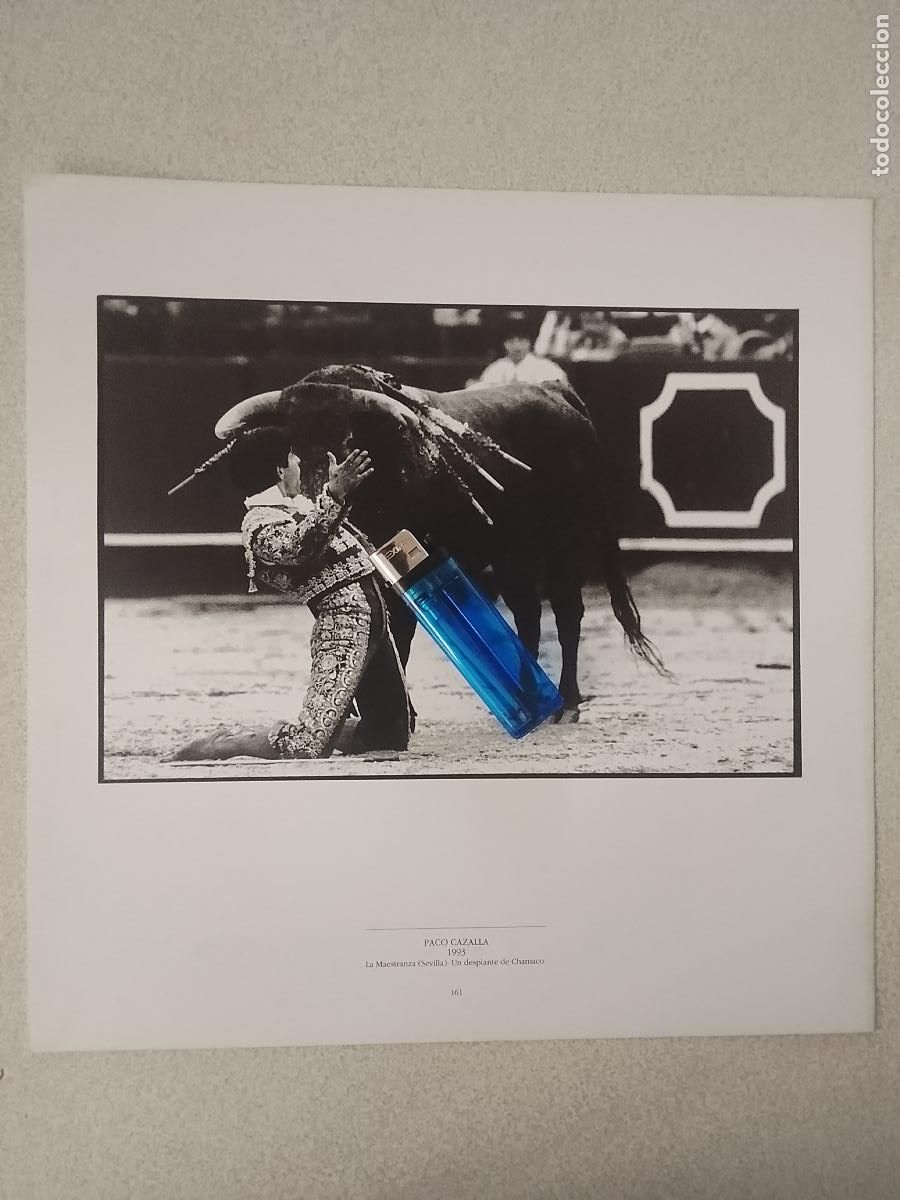 Fotograf&iacute;a antigua: foto - lamina 1993 TAUROMAQUIA TOROS - TORERO CHAMACO . PLAZA DE LA MAESTRANZA SEVILLA