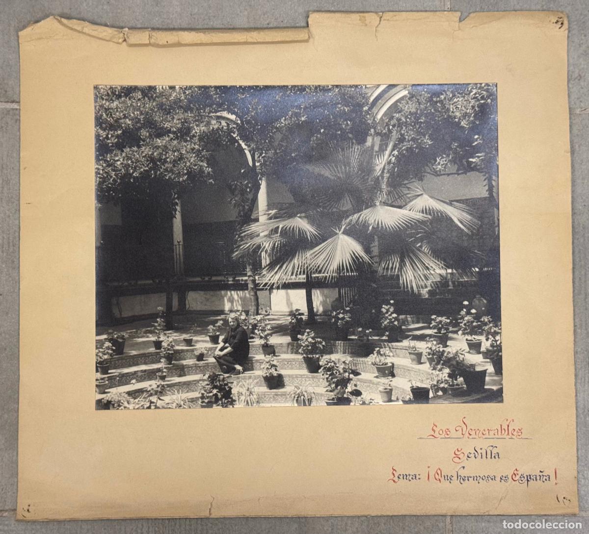 Fotograf&iacute;a antigua: SEVILLA - LOS VENERABLES - FOTOGRAFIA ANTIGUA