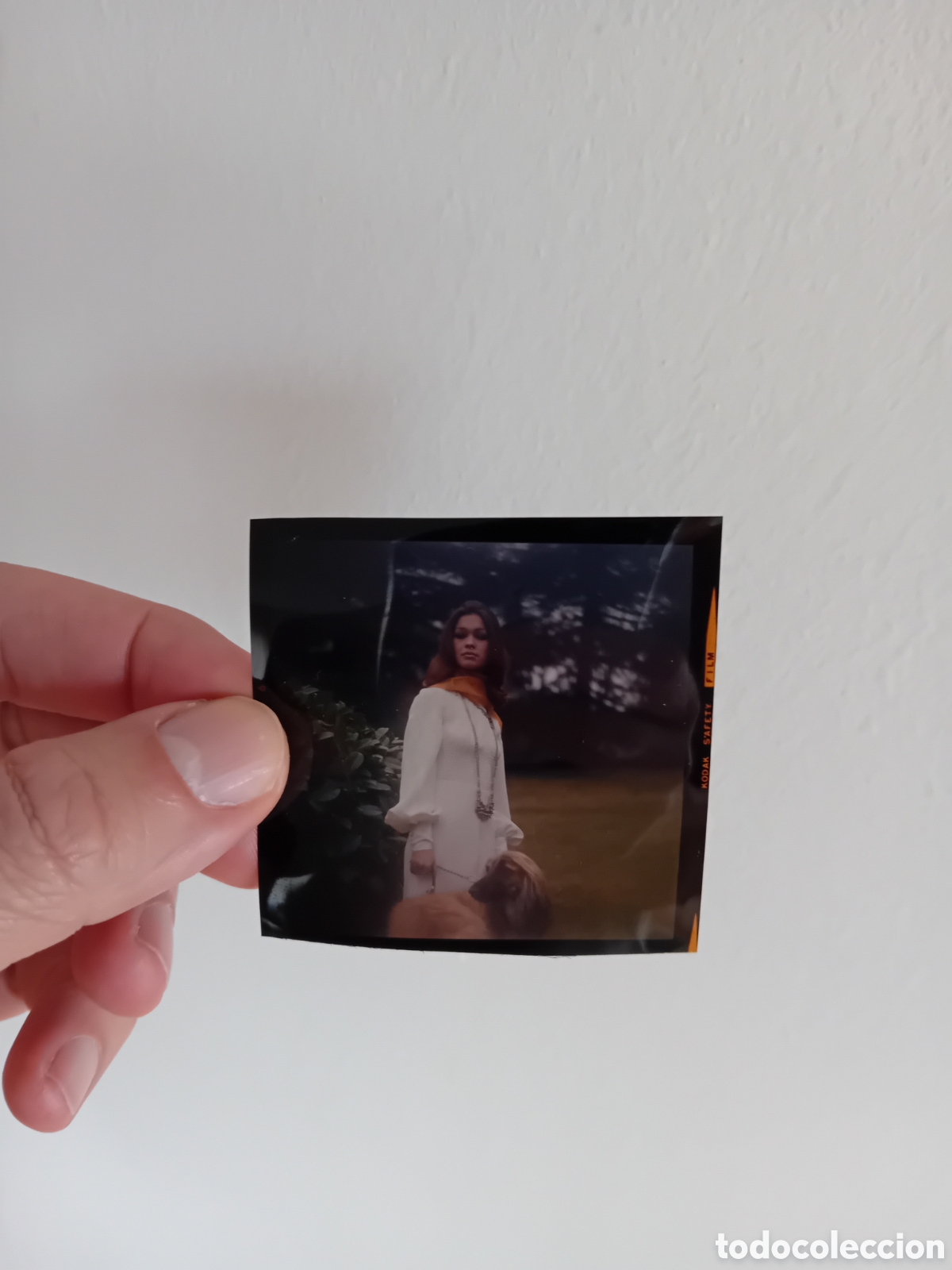 Fotograf&iacute;a antigua: EXCEPCIONAL DIAPOSITIVA PLACA MEDIO FORMATO DE MARISOL. FOTOGRAF&Iacute;A PROFESIONAL IN&Eacute;DITA. A&Ntilde;OS 70S.