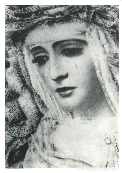 Fotograf&iacute;a antigua: REPRODUCCION FOTOGRAFICA DE LA S. SANTA DE SEVILLA, VIRGEN DE PATROCINIO. FOTOSESANTA-228
