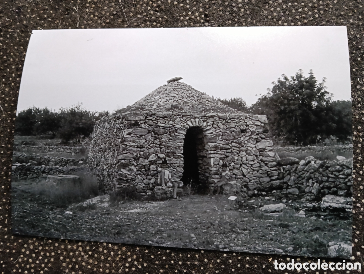 Fotograf&iacute;a antigua: Fotograf&iacute;a del BARRACA A LA POBLA DE MONTORNES TARRAGONA 13-2-1959 - est&aacute; fotograf&iacute;a est&aacute; sacada de