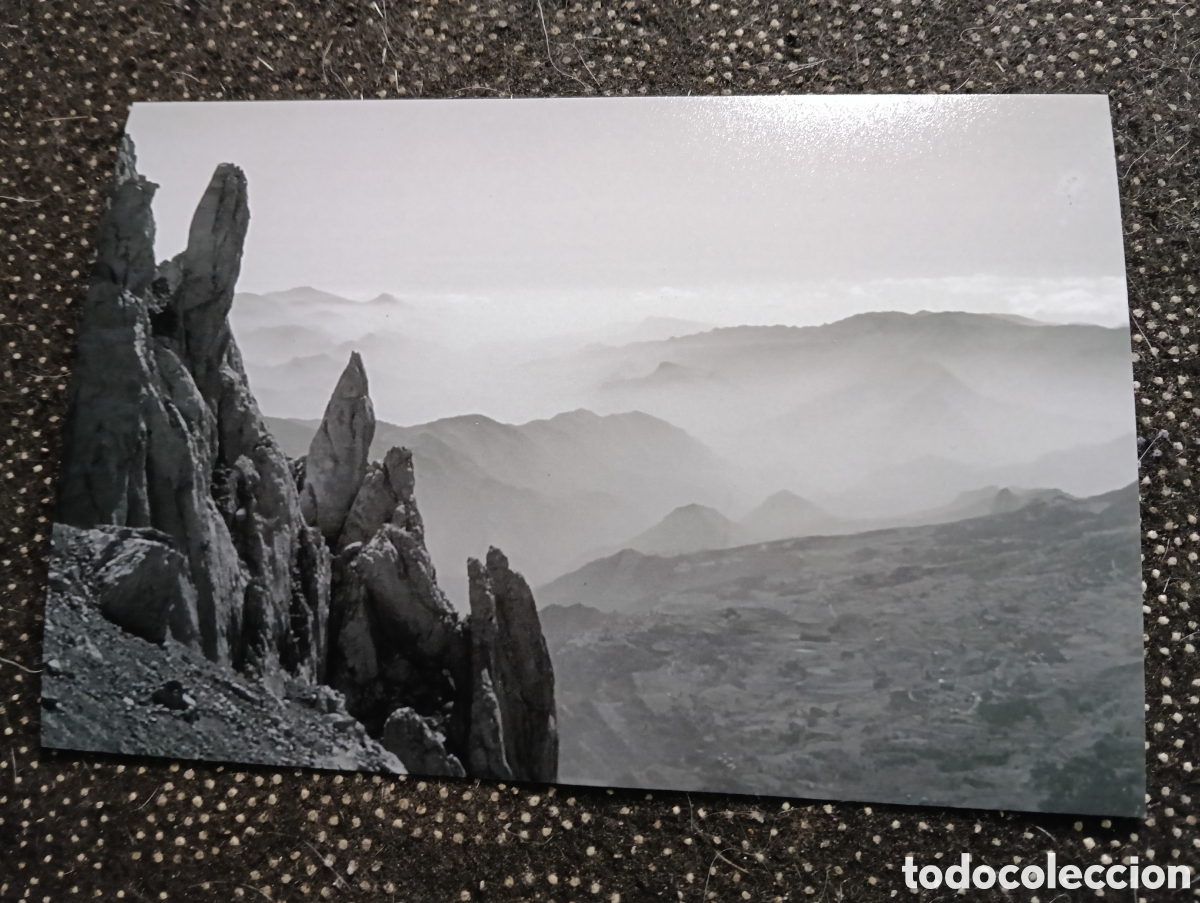Fotograf&iacute;a antigua: Fotograf&iacute;a del AGULLAS DEL CALDARER RUTA PEDRAFORCA 31-5-1959 - est&aacute; fotograf&iacute;a est&aacute; sacada de una d