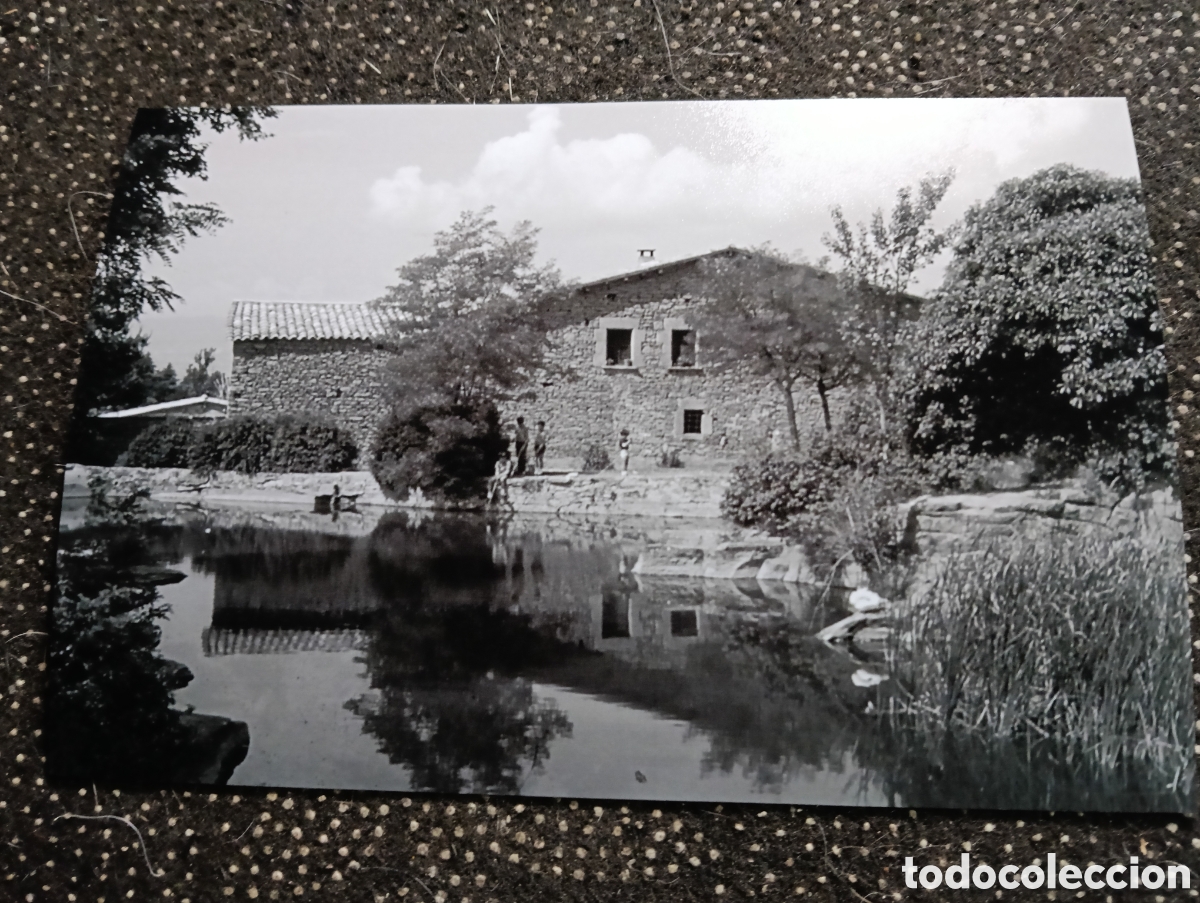 Fotograf&iacute;a antigua: Fotograf&iacute;a de LA PLEUNA APROP DE SANT JULIA DE VILATORTA 7-6-1959 - est&aacute; fotograf&iacute;a est&aacute; sacada de u