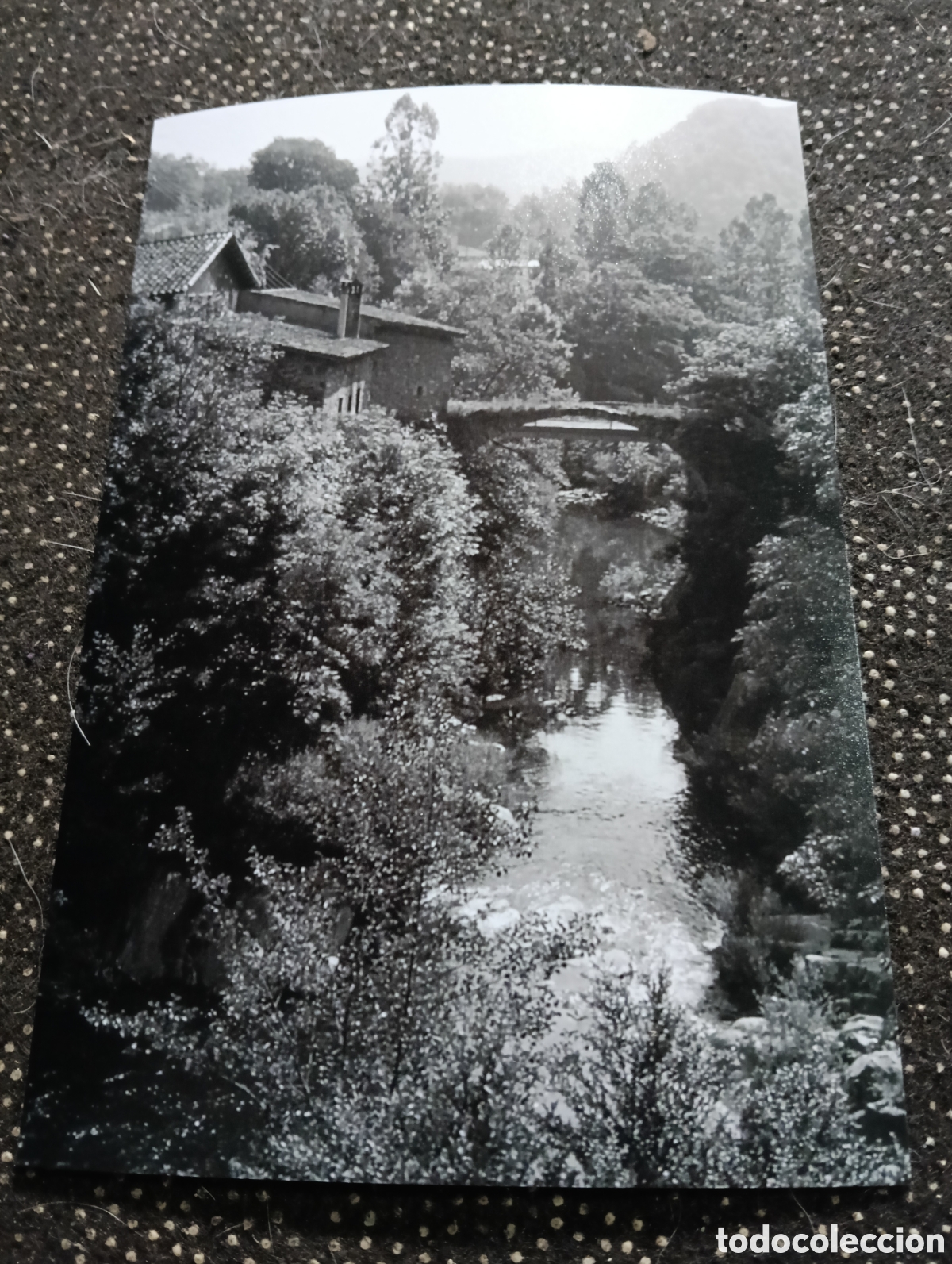 Fotograf&iacute;a antigua: Fotograf&iacute;a del MOLI DE BOIXONS- BOJONS, GILLERIES 24-6-1959 - est&aacute; fotograf&iacute;a est&aacute; sacada de una dia