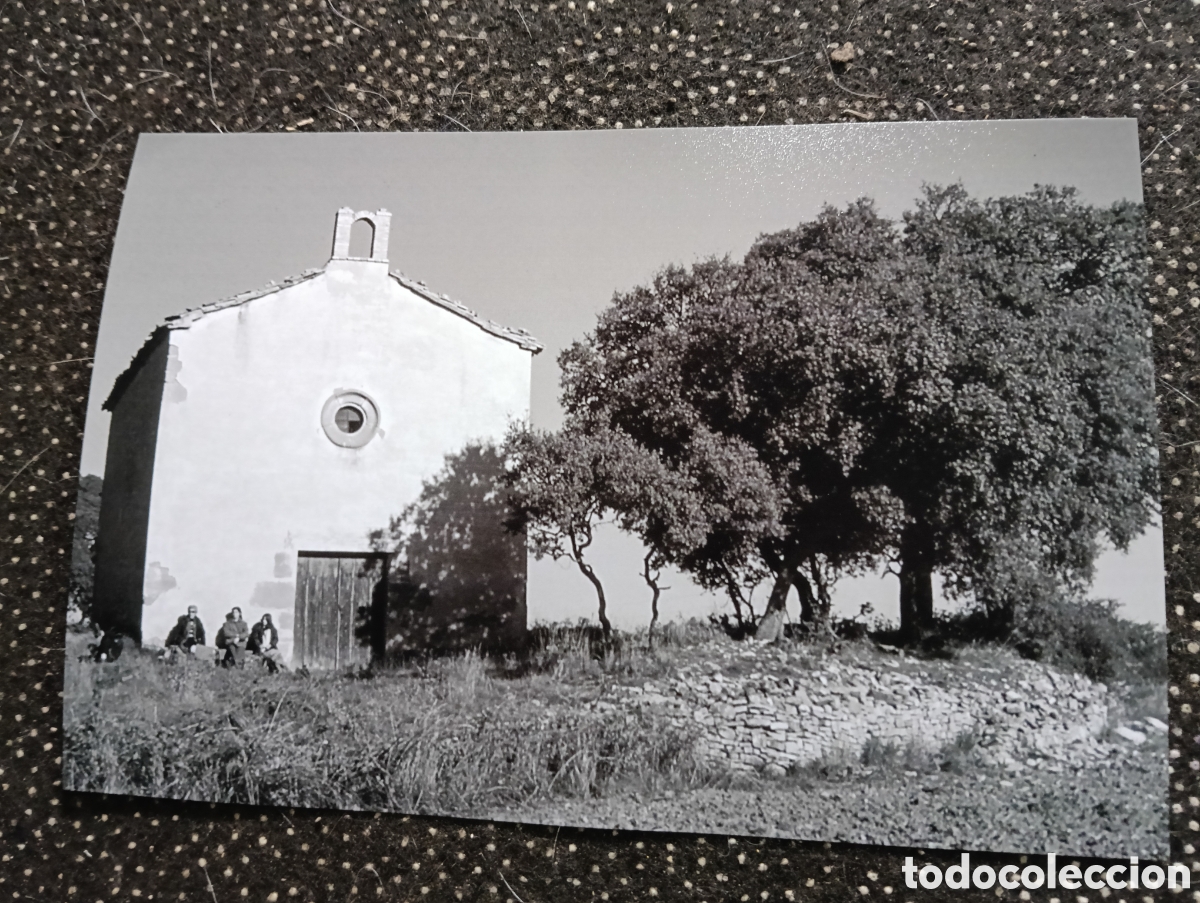 Fotograf&iacute;a antigua: Fotograf&iacute;a de SAN VALENTI, APROP DE CALAF, AL COSTAT DE CAN BALART, Barcelona 16-11-1959 - est&aacute; foto