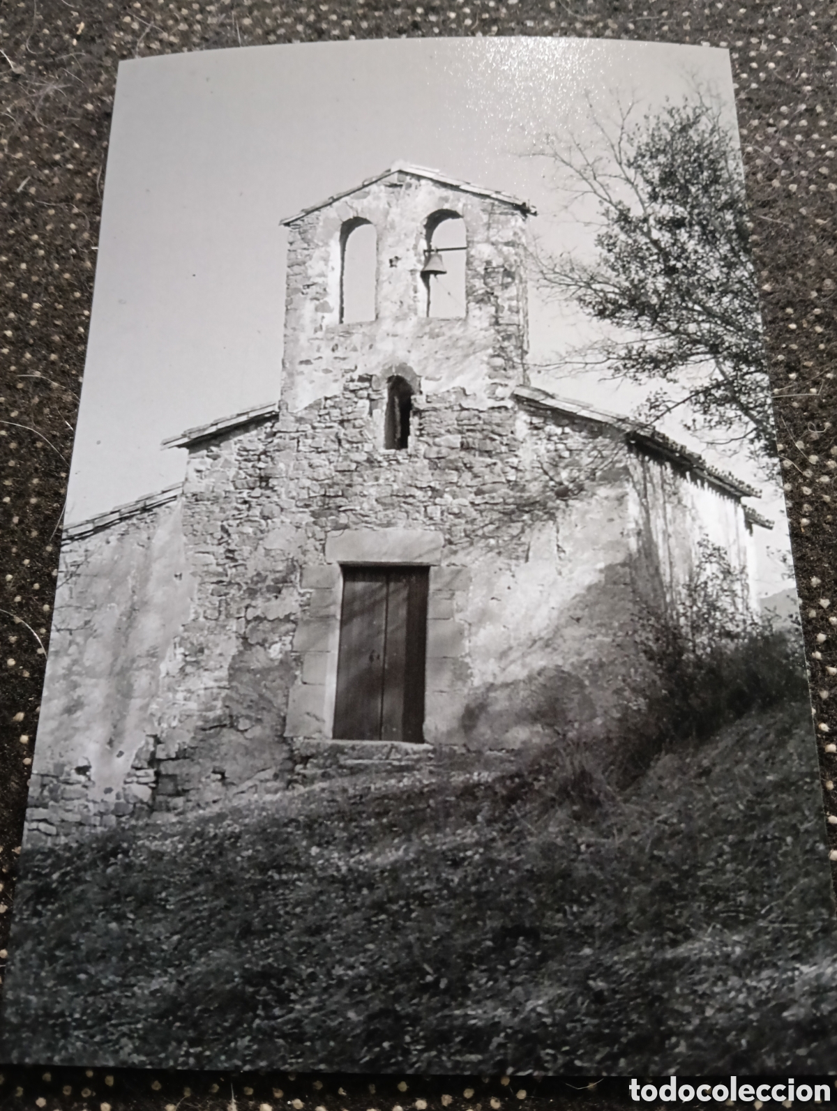 Fotograf&iacute;a antigua: Fotograf&iacute;a de FA&Ccedil;ANA DE LA ERMITA DE MONT-RODON APROP DE TONA 22-2-1959 - est&aacute; fotograf&iacute;a est&aacute; sacad