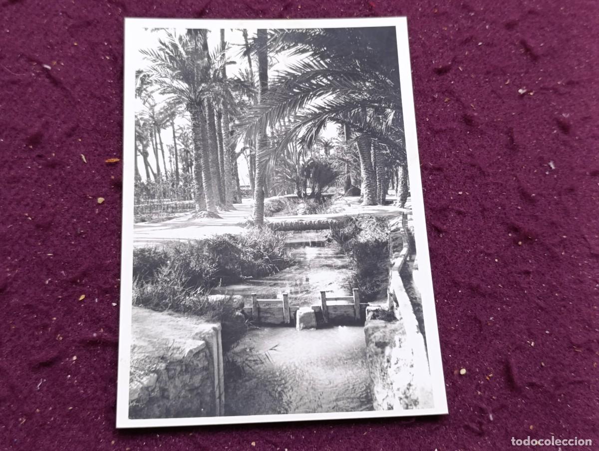 Fotograf&iacute;a antigua: Antigua Fotograf&iacute;a, Vista de Elche, Fot. de P&eacute;rez Segu&iacute;, 1940&acute;s, sello al dorso