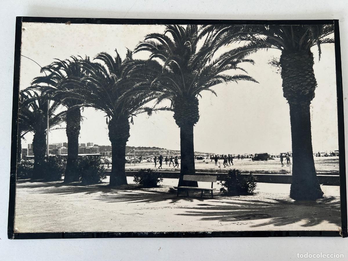 Antique Photography: SALOU TARRAGONA FOTOGRAFIA CONCURSO TITULO ENTRE PALMERAS A&Ntilde;OS 60