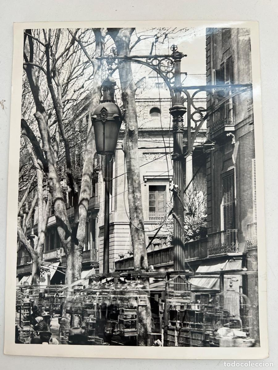 Fotografia antica: FOTOGRAFIA ARCHIVO FOTO MAS BARCELONA RAMBLA DE LOS PAJAROS