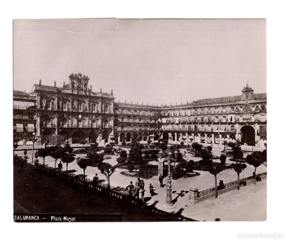 Fotografia antica: SALAMANCA.- PLAZA MAYOR. 15X12