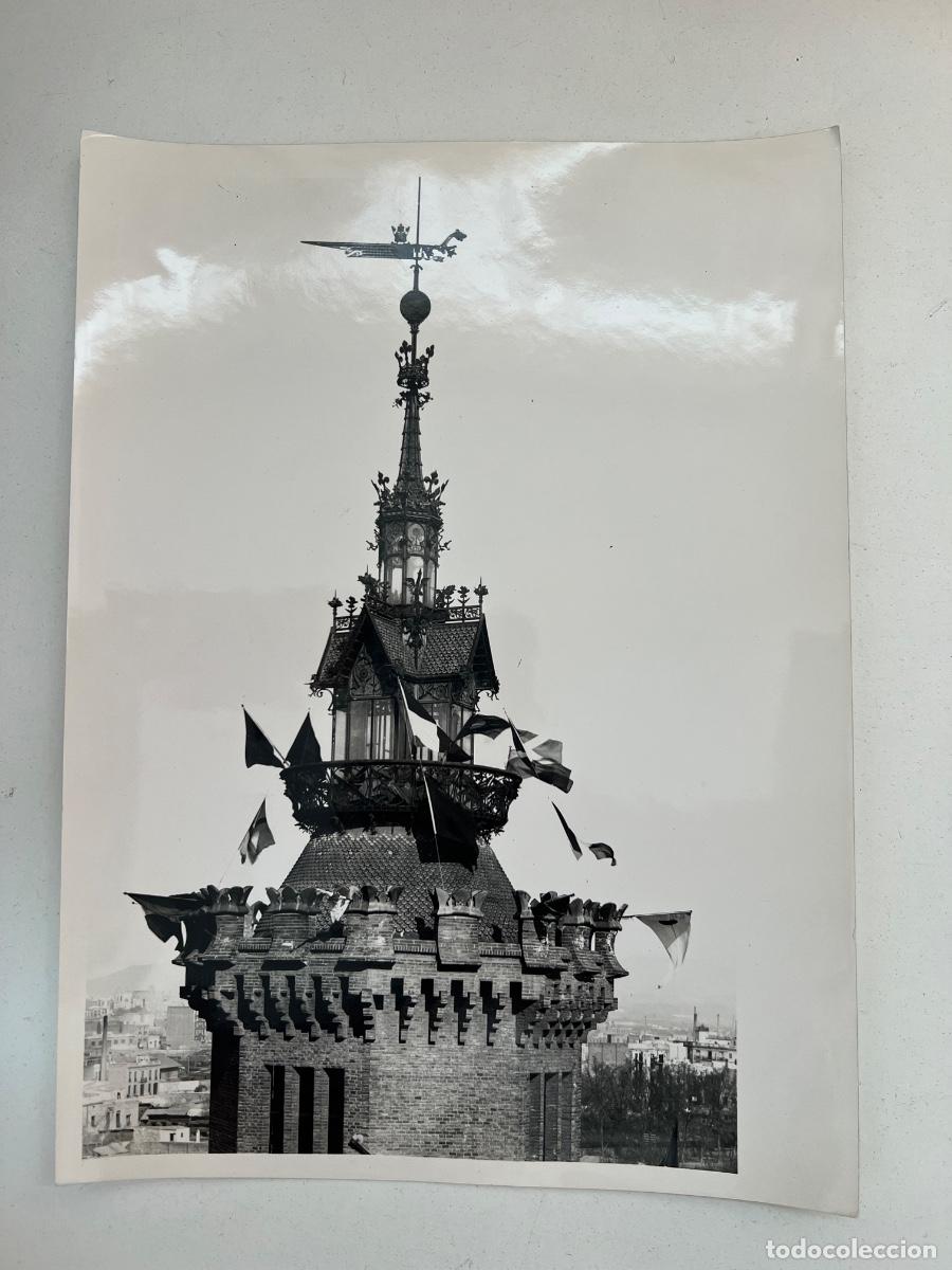 Fotograf&iacute;a antigua: FOTOGRAFIA ARCHIVO FOTO MAS BARCELONA MUSEO DE ARTE NATURAL