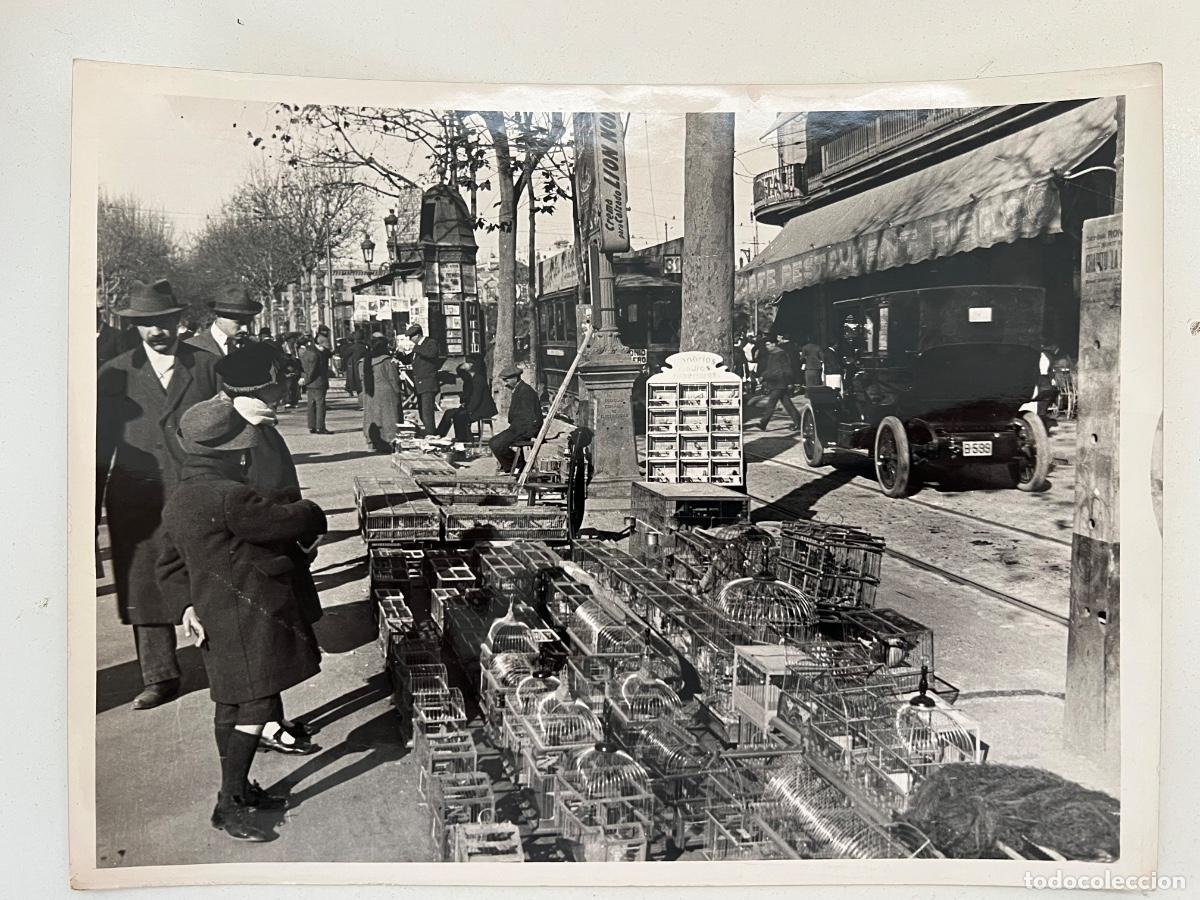 Fotografia antica: FOTOGRAFIA ARCHIVO FOTO MAS BARCELONA RAMBLA CANALETAS 1911