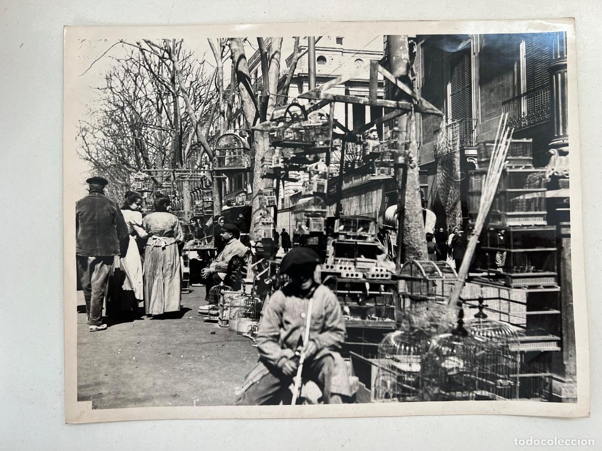 Fotograf&iacute;a antigua: FOTOGRAFIA ARCHIVO FOTO MAS BARCELONA RAMBLA DE LOS ESTUDIOS 1904