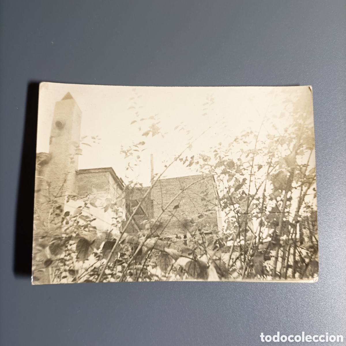 Fotograf&iacute;a antigua: ANTIGUA FOTOGRAF&Iacute;A ART&Iacute;STICA
