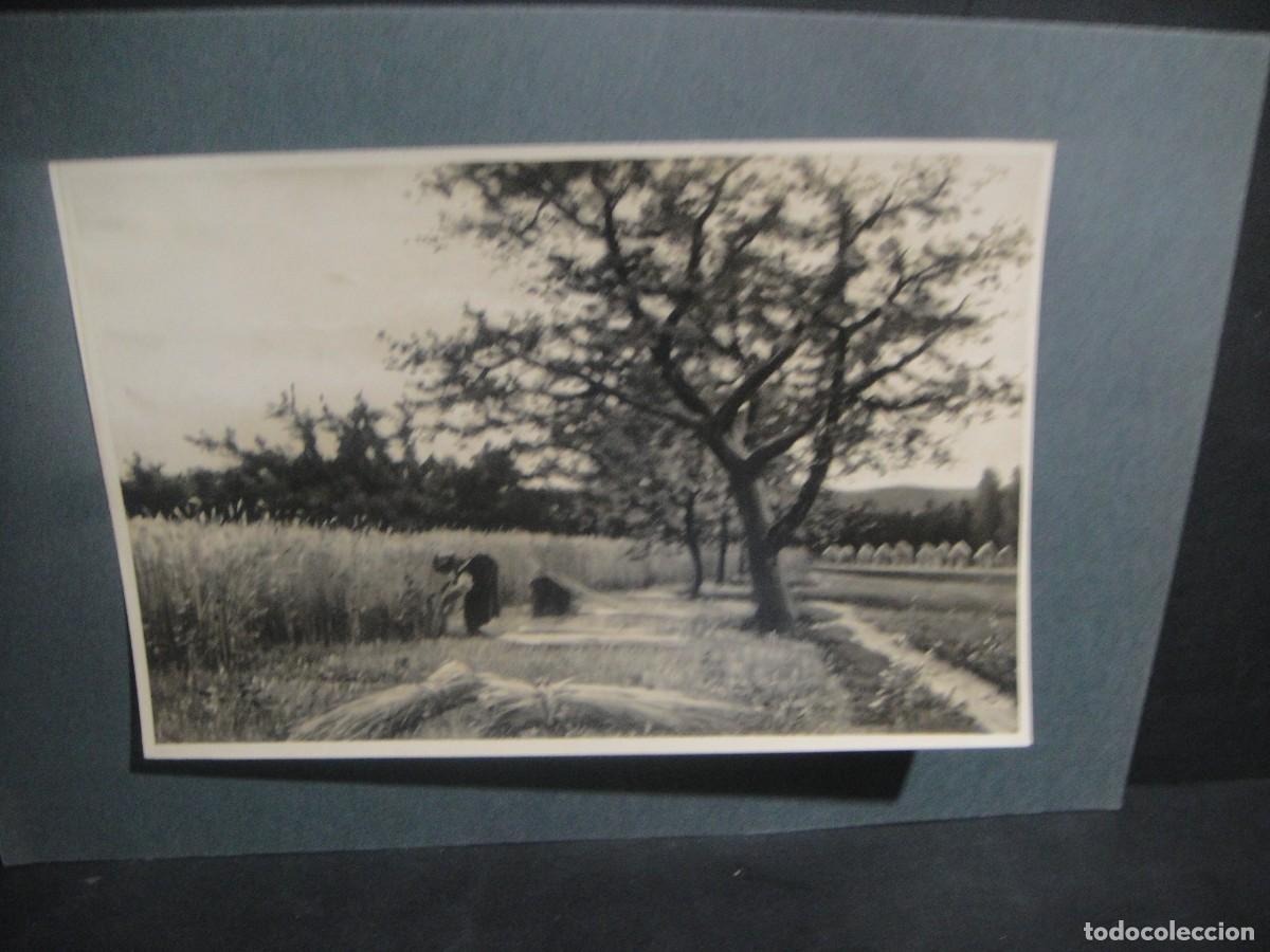 Fotograf&iacute;a antigua: fotografia de una obra de j. vayreda - fotografo francesc serra i dimas - barcelona