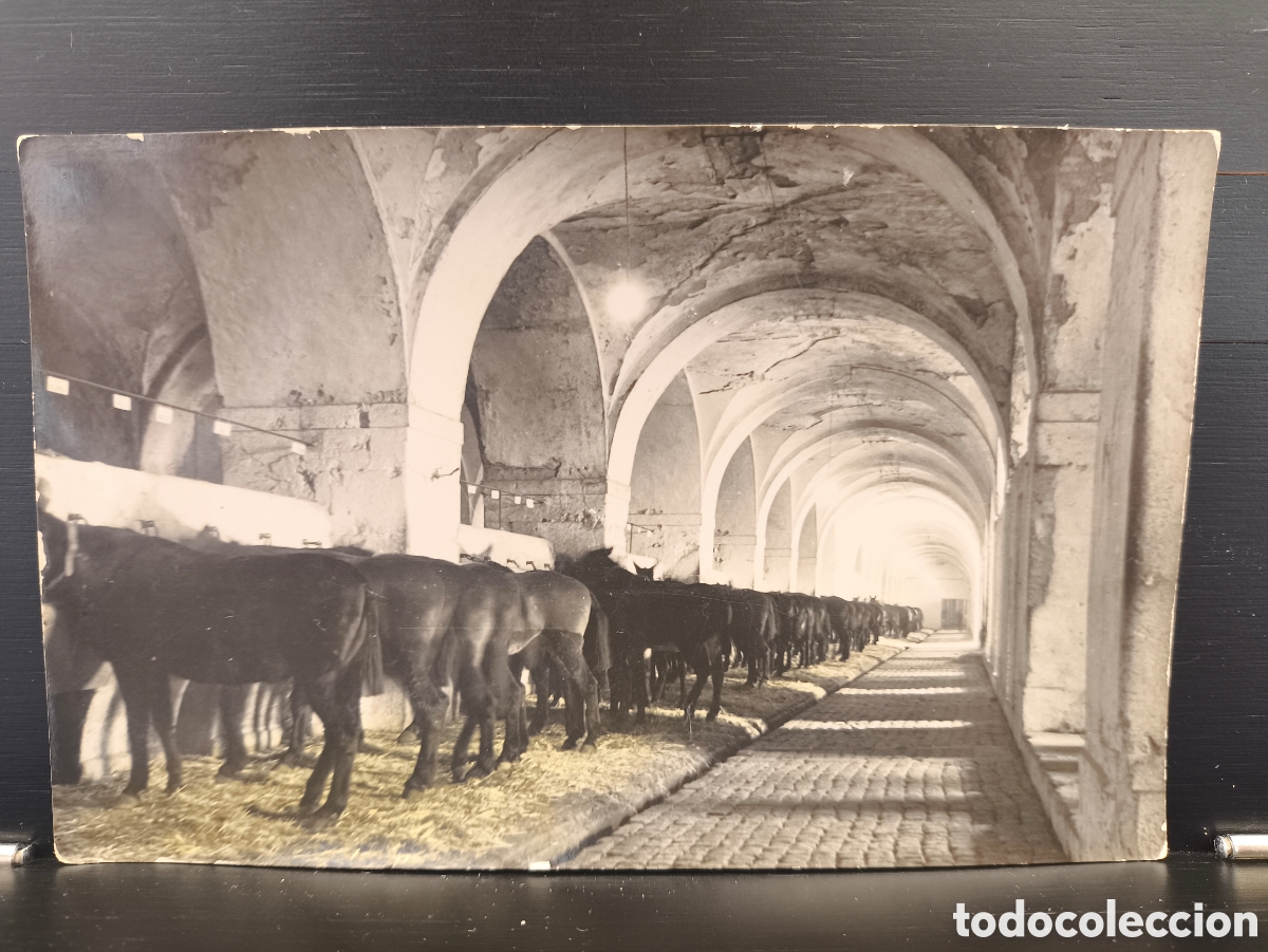 Fotograf&iacute;a antigua: Antigua fotograf&iacute;a coloreada Figueras Castillo de San Fernando Caballerizas Gerona