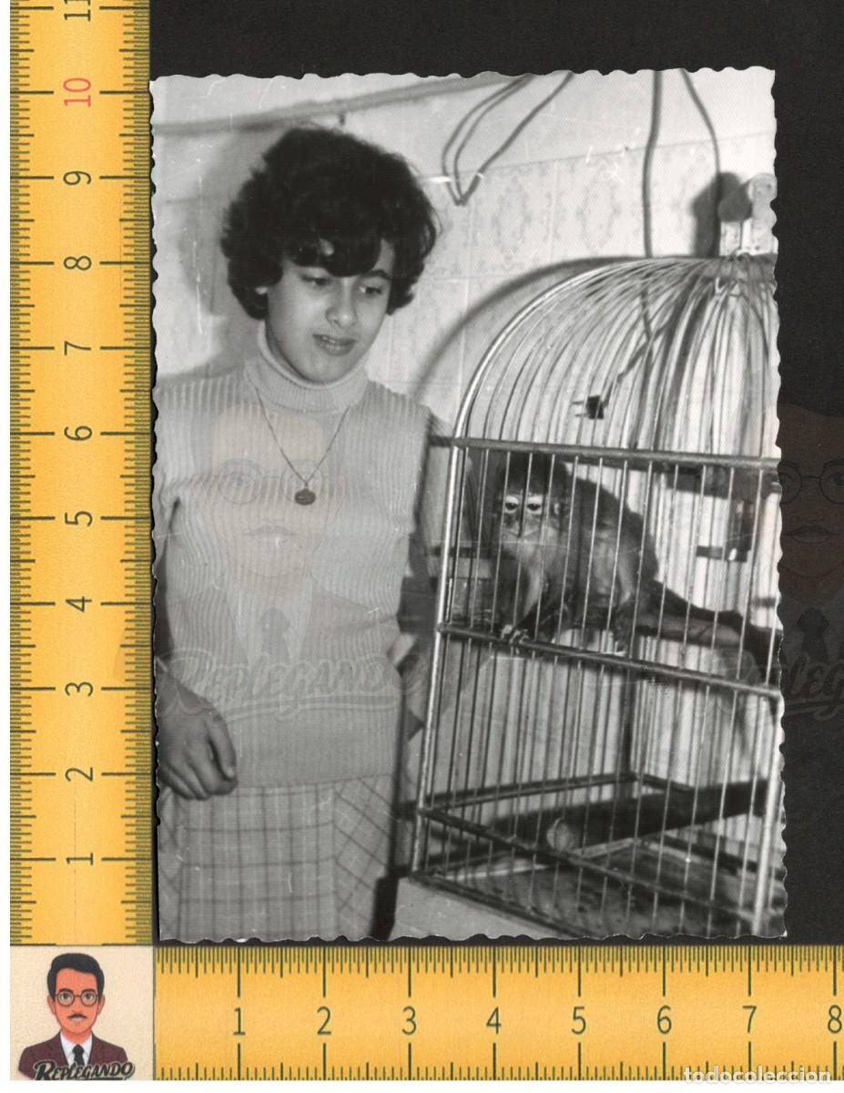Fotograf&iacute;a antigua: SIMP&Aacute;TICA NI&Ntilde;A POSA CON MONO TITI EN JAULA / MASCOTA EX&Oacute;TICA / FOTO ANTIGUA A&Ntilde;OS 60/70 - BARCELONA