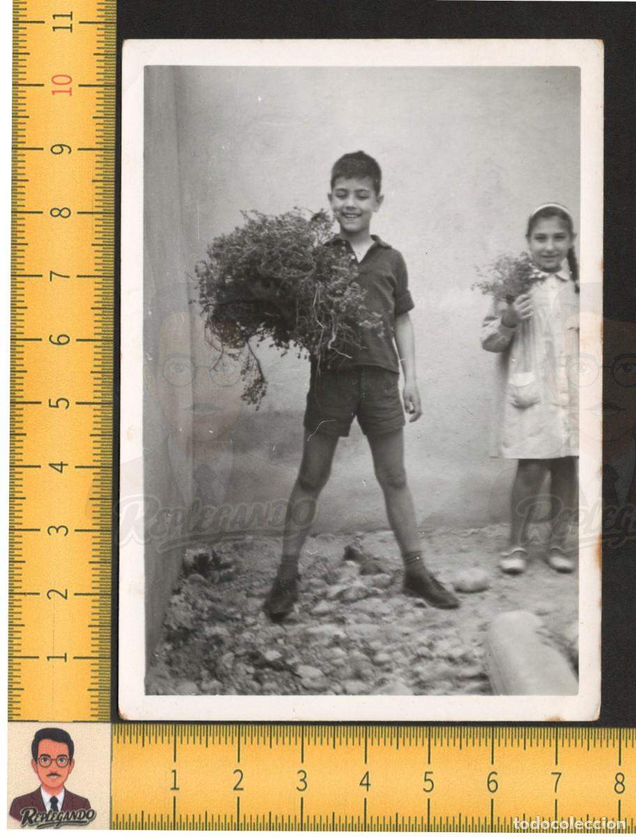 Fotograf&iacute;a antigua: LOS REYES DEL &iquest;TOMILLO? NI&Ntilde;OS PUEBLO RURAL / FOTO ANTIGUA ART&Iacute;STICA A&Ntilde;OS 50 / INFANCIA FELIZ ESPA&Ntilde;A