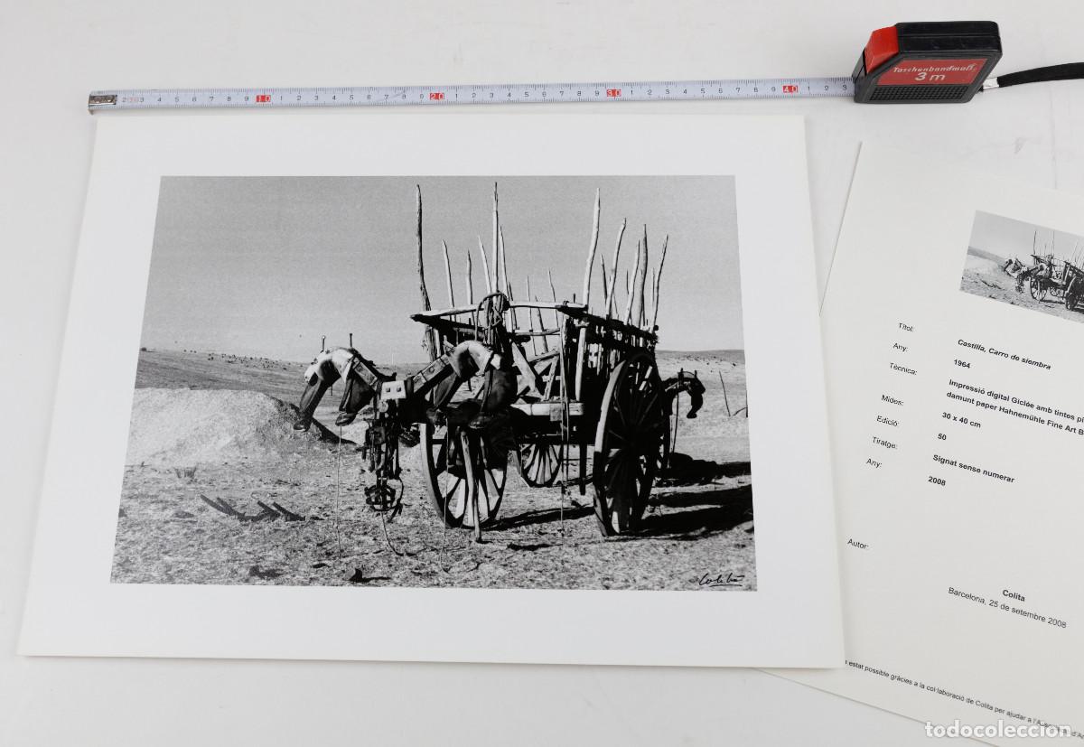 Fotograf&iacute;a antigua: COLITA (Isabel Steva, 1940-2023) Carro de simebra, 1964. Tiraje Gicl&eacute;e 2008, Edici&oacute;n 50 ejemplares.