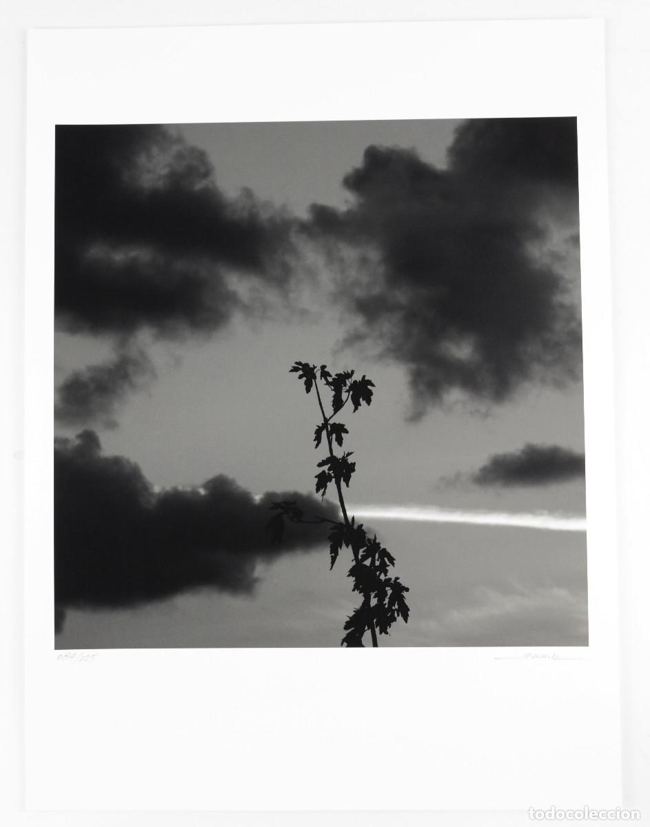 Fotograf&iacute;a antigua: MANEL ESCLUSA, Edici&oacute;n 84/125. Tiraje Gicl&eacute;e 30x40cm.