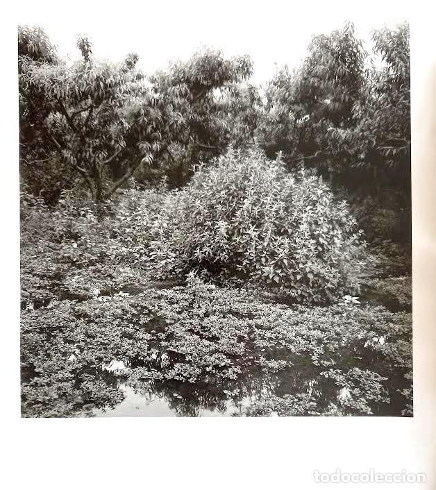 Fotograf&iacute;a antigua: Fotograf&iacute;a original de Joan Fontcuberta. Firmada y fechada 1987