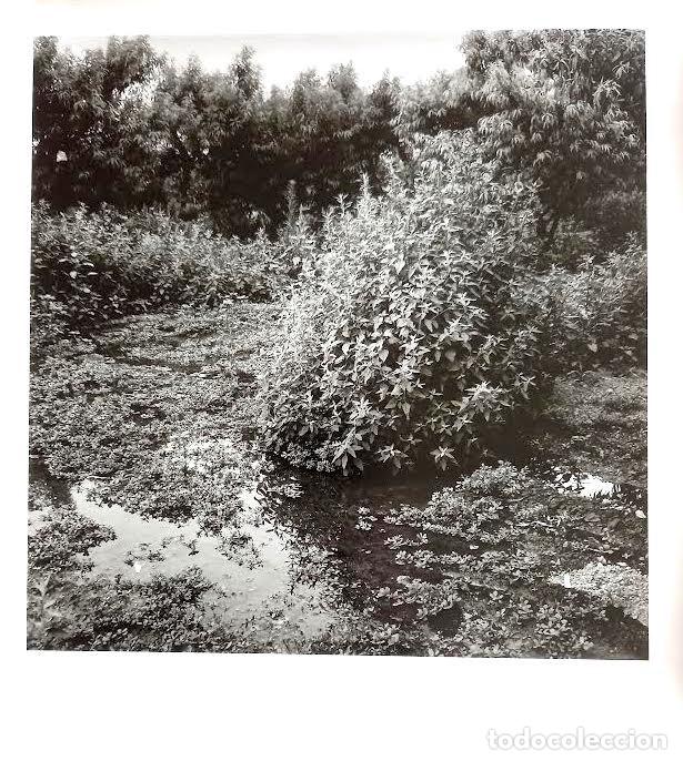 Fotograf&iacute;a antigua: Fotograf&iacute;a original de Joan Fontcuberta. Firmada y fechada 1987
