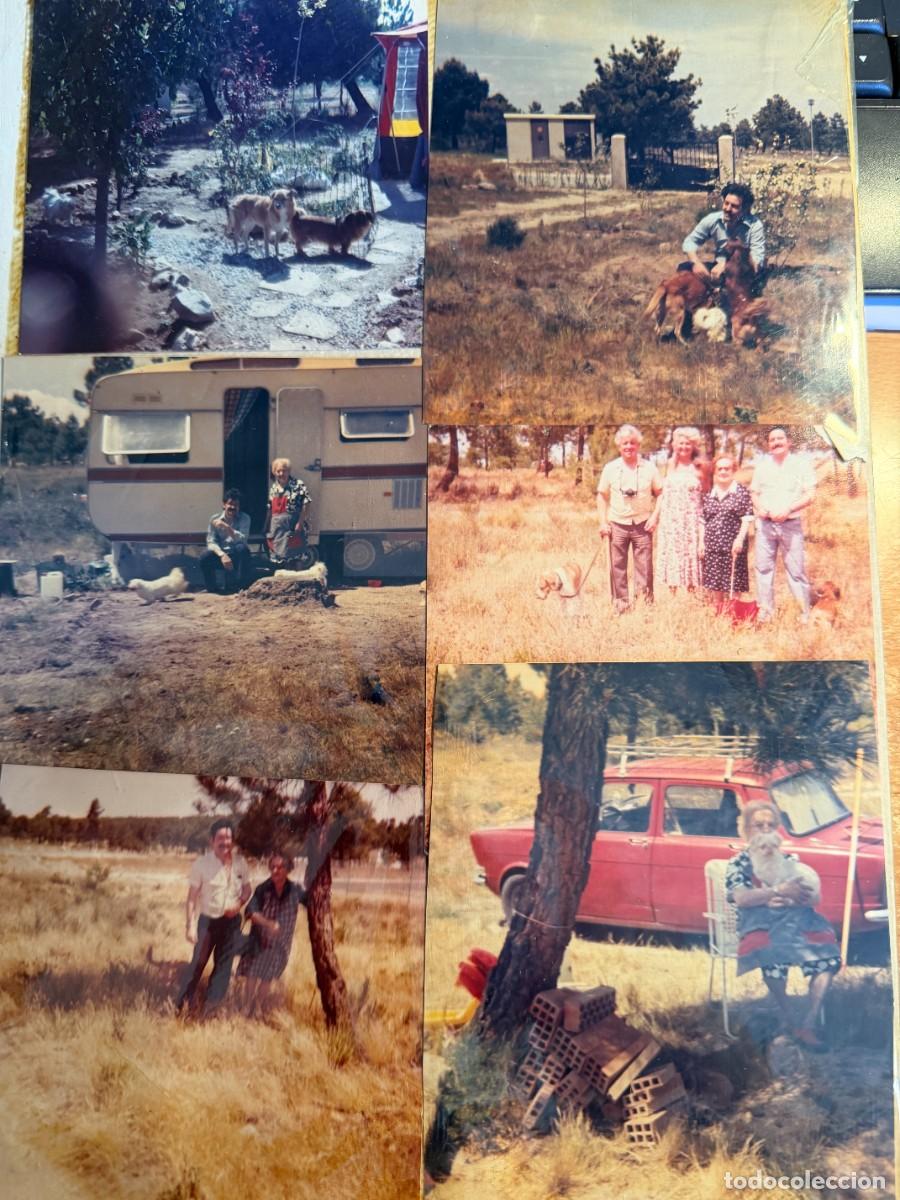 Antique Photography: P- RESTO DE ALBUM DE 64 FOTOS ANTIGUAS DE UNA FAMILIA CON US PERROS