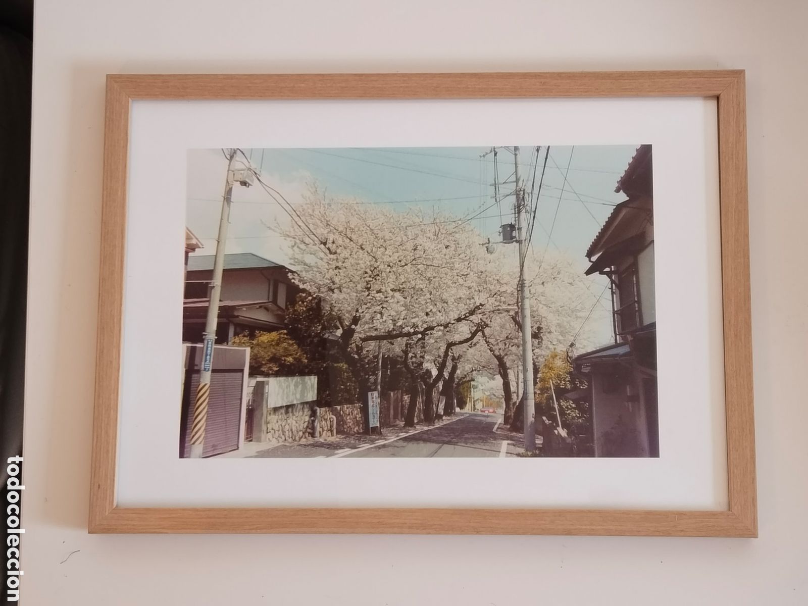 Fotograf&iacute;a antigua: Fotograf&iacute;a Anal&oacute;gica Original Jap&oacute;n (Kobe, 2001) - Cerezos en Flor (Sakura). Impresi&oacute;n Fine Art