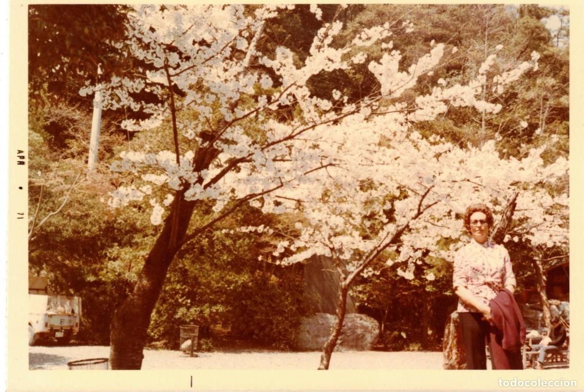 Fotograf&iacute;a antigua: :::: Q551 - FOTOGRAFIA - SE&Ntilde;ORA JUNTO A UNOS ALMENDROS EN FLOR