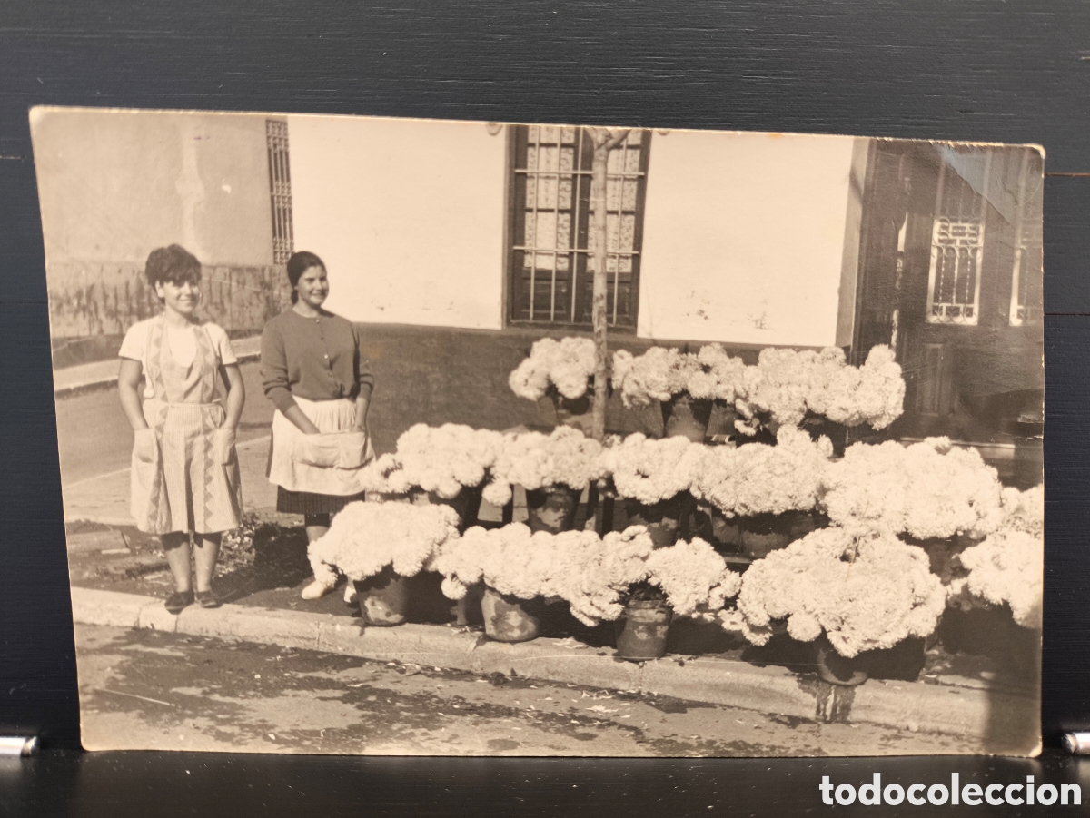 Fotograf&iacute;a antigua: Antigua fotograf&iacute;a mujeres vendedoras de flores crisantemos en puesto callejero