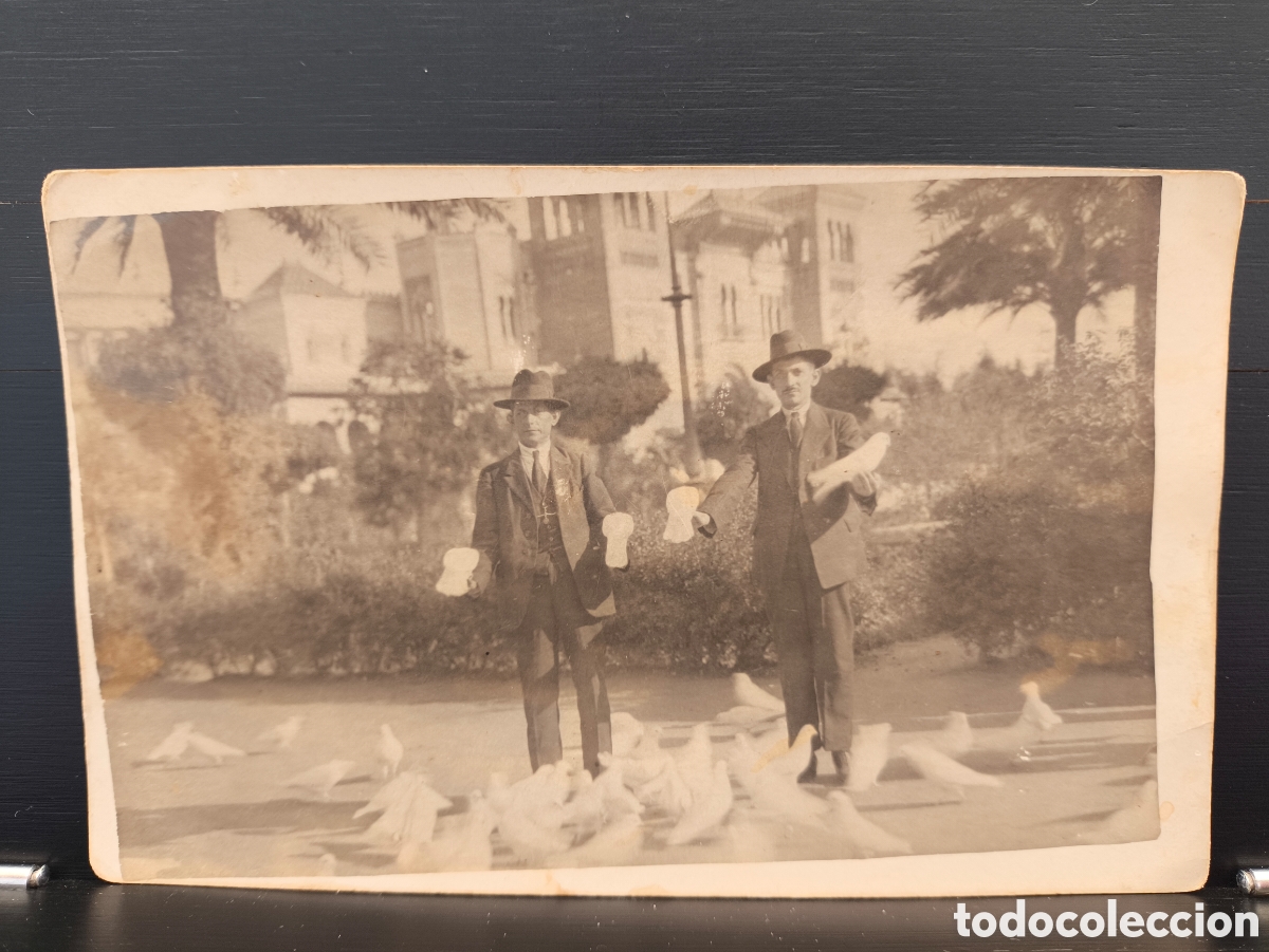 Fotograf&iacute;a antigua: Antigua postal fotogr&aacute;fica dedicada Plaza de las palomas Pabell&oacute;n Mud&eacute;jar Parque Mar&iacute;a Luisa Sevilla