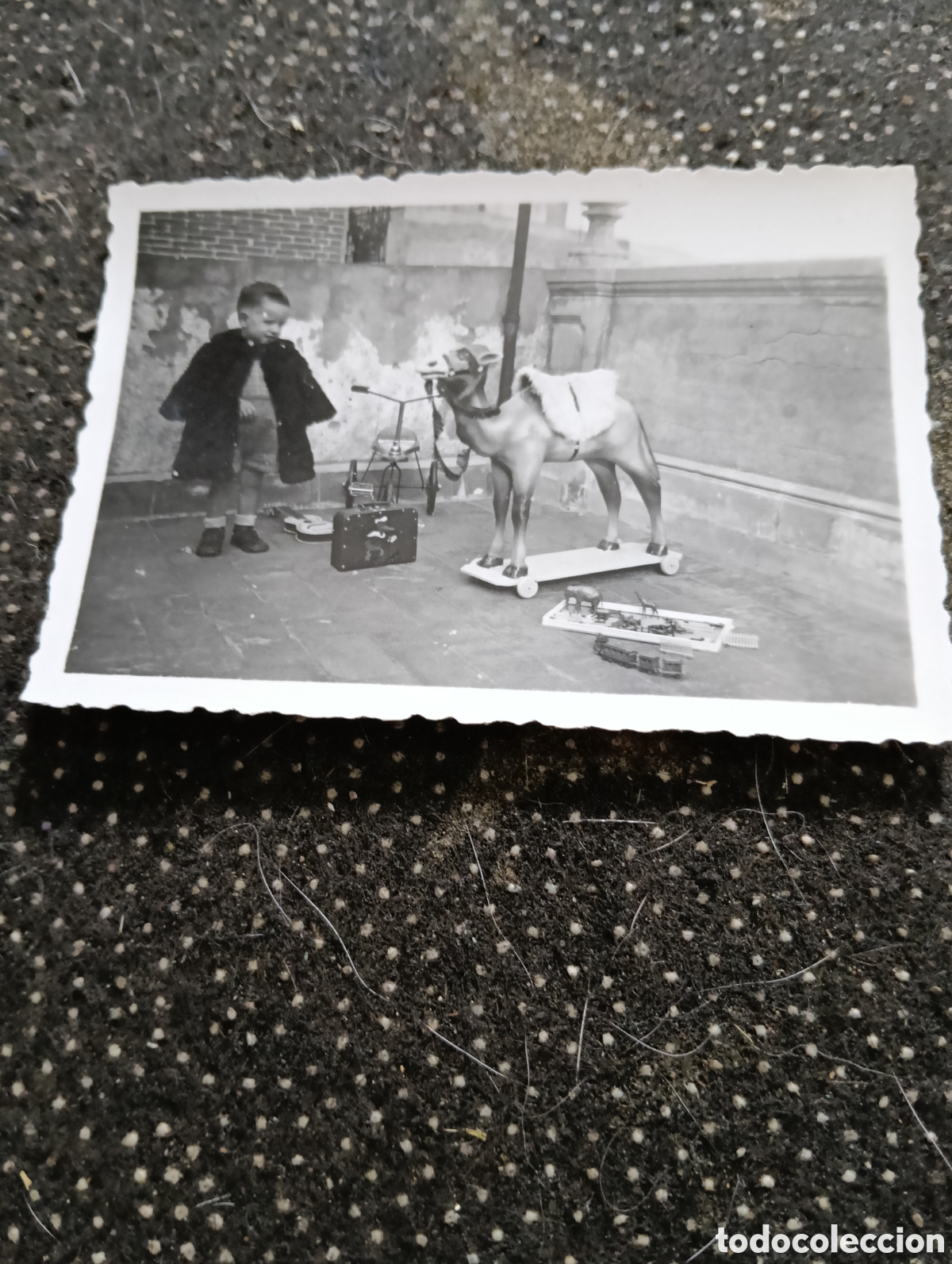 Fotograf&iacute;a antigua: Fotograf&iacute;a de un ni&ntilde;o jugando con un camello de cart&oacute;n a&ntilde;os 50, mide 8 x 6 cm aprox.