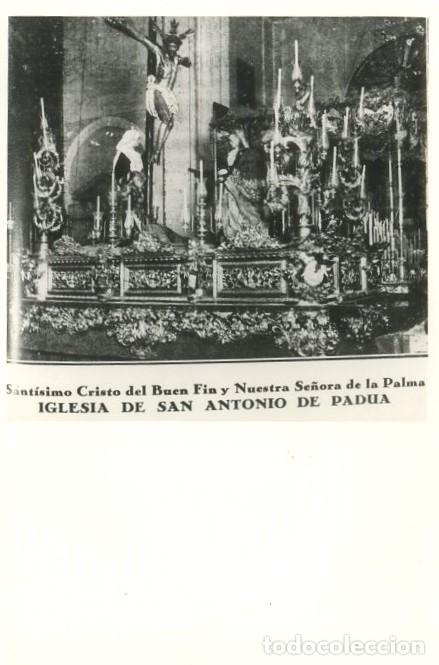 Fotograf&iacute;a antigua: REPRODUCCION FOTOGRAFICA DE LA S.SANTA DE SEVILLA, CRISTO DEL BUEN FIN. FOTOSESANTA-260